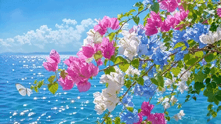 花与海