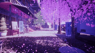 樱花 [4K]