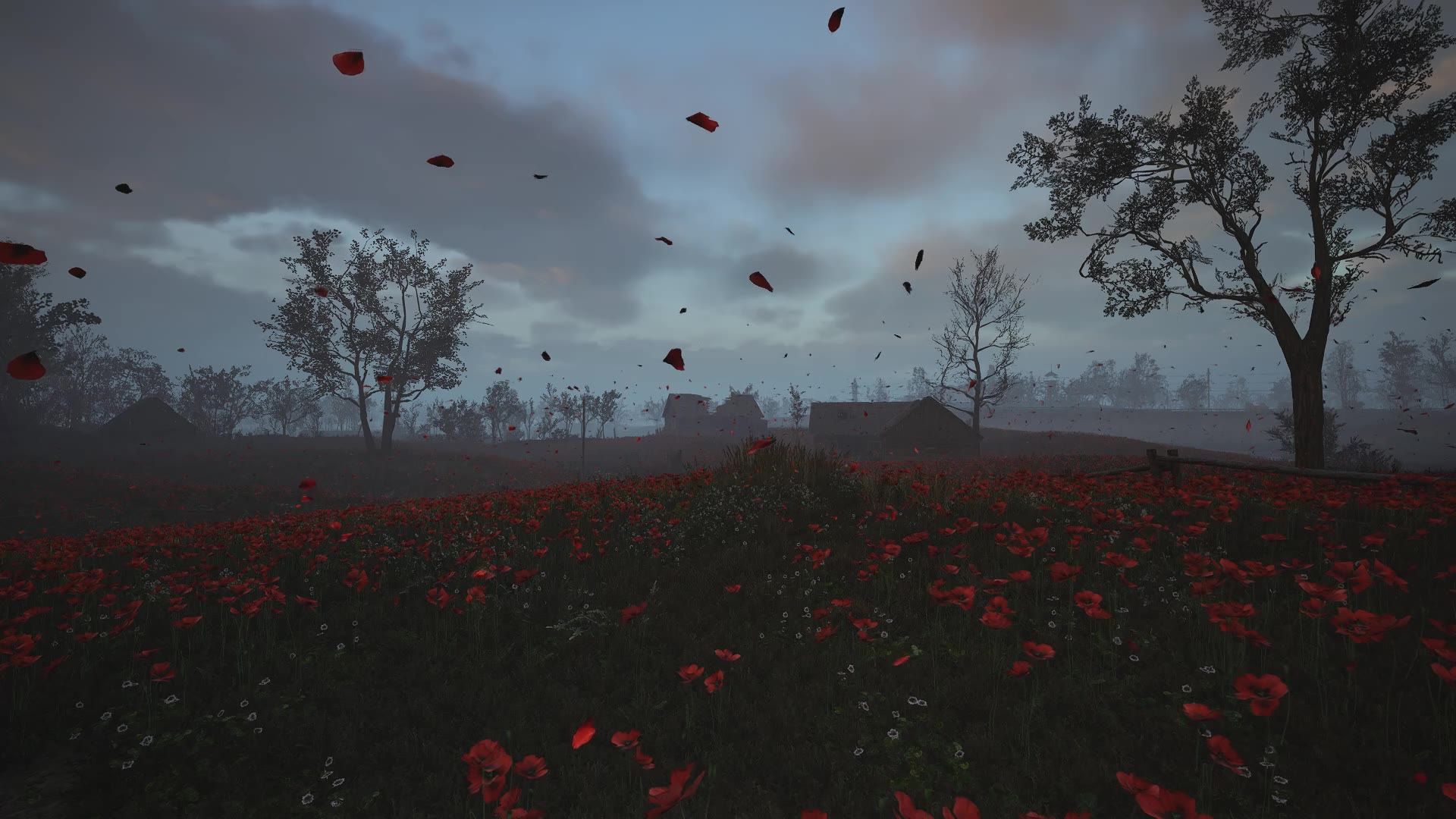 S.T.A.L.K.E.R. 2 Heart of Chornobyl 罂粟花田 2
