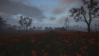 S.T.A.L.K.E.R. 2 Heart of Chornobyl 罂粟花田 2