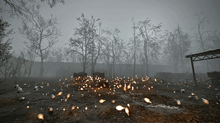 S.T.A.L.K.E.R. 2 切尔诺贝利之心 灯泡 STALKER 2