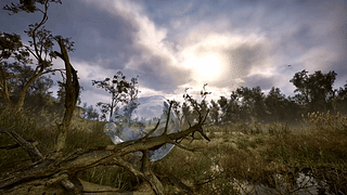 S.T.A.L.K.E.R. 2 切尔诺贝利之心 BUBBLE STALKER 2