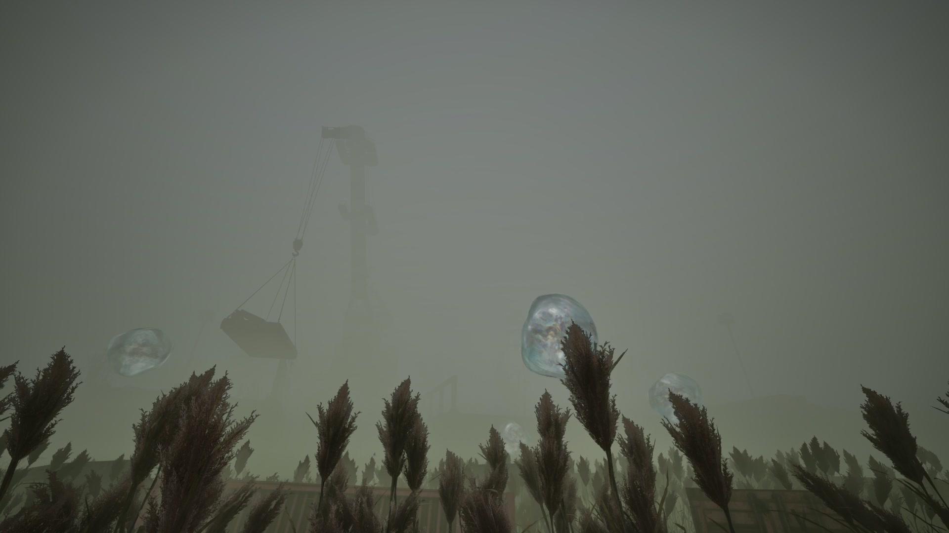 S.T.A.L.K.E.R. 2 切尔诺贝利之心 FOGGY BUBBLES STALKER 2