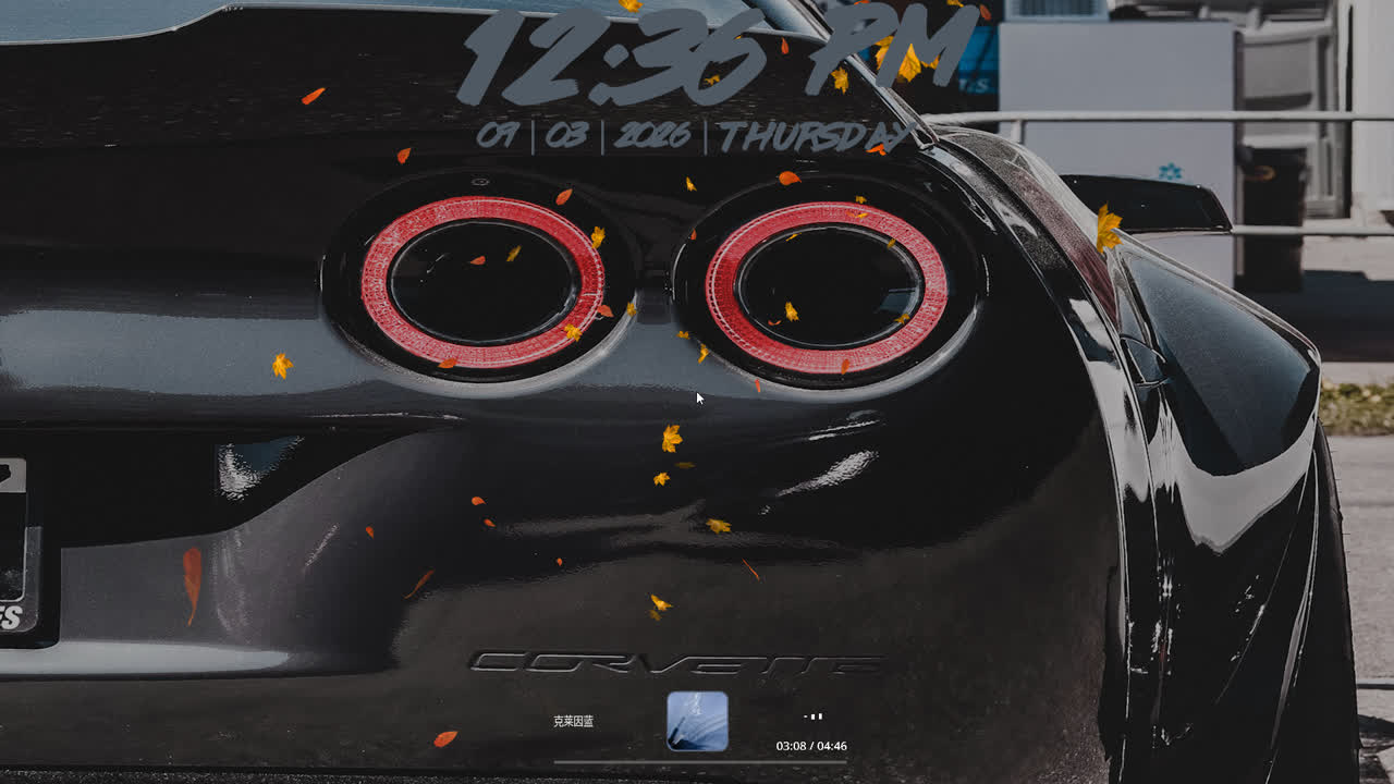 C6 维特