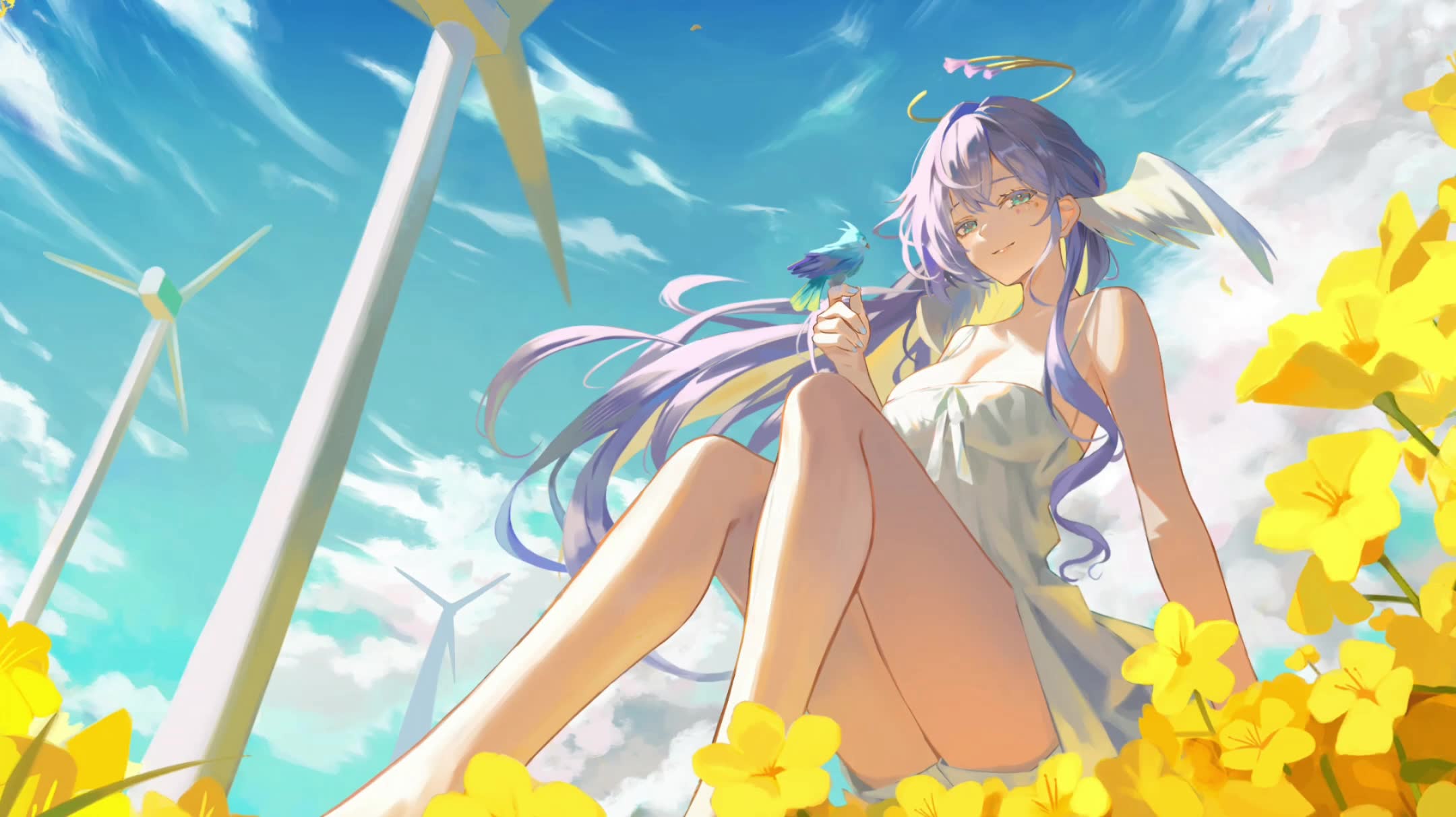 风车花海