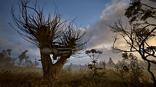S.T.A.L.K.E.R. 2 Heart of Chornobyl 冷静潜行者 2 Harry Potter 彩蛋