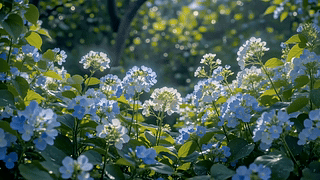 林间蓝绣球花簇