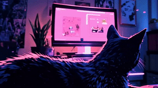 猫糖果 3