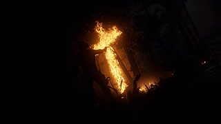 RDR2 枪声