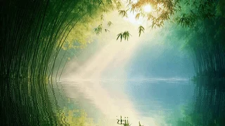 竹林水境