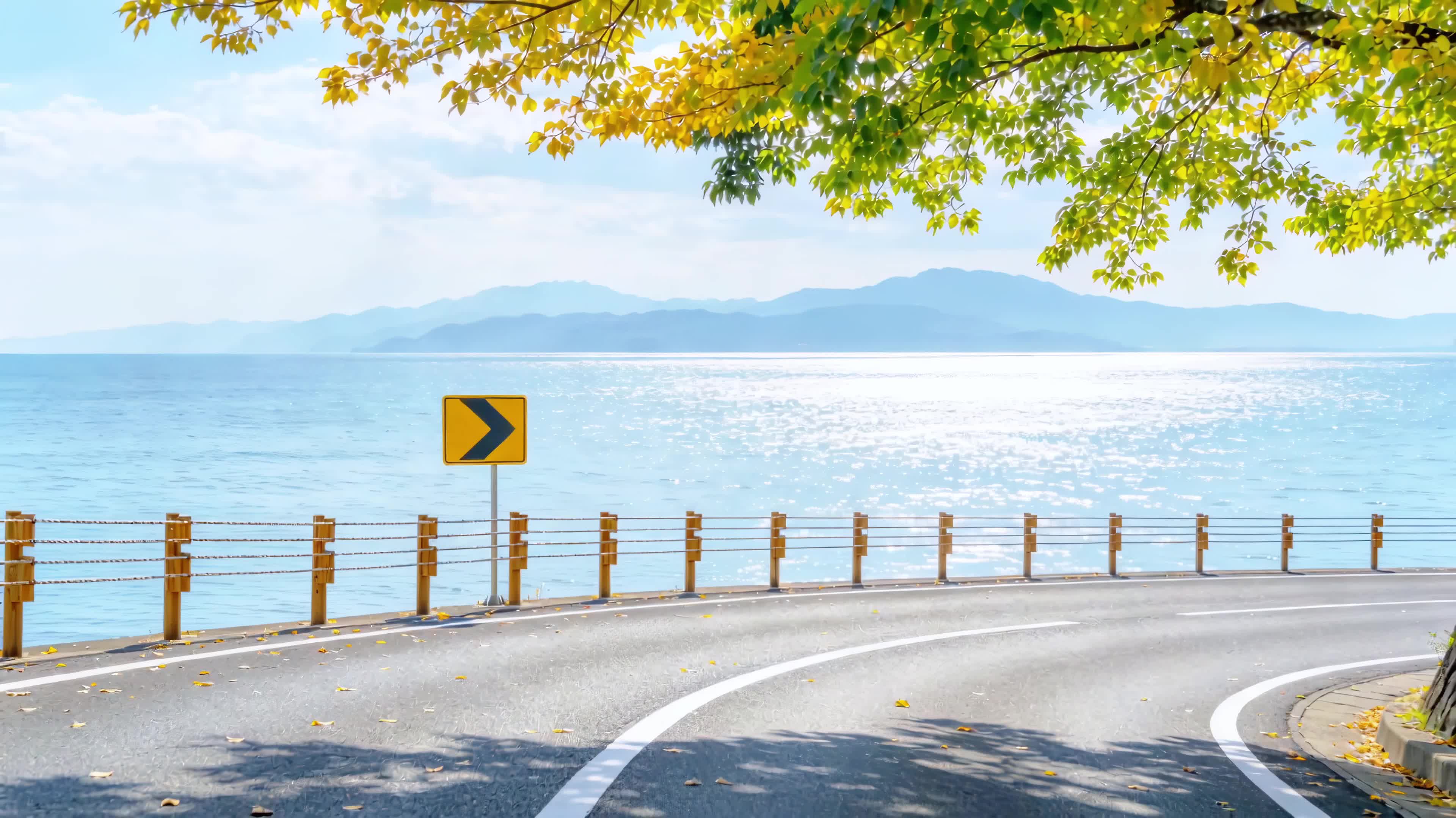沿海公路