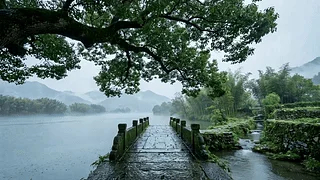 雨天绿堤