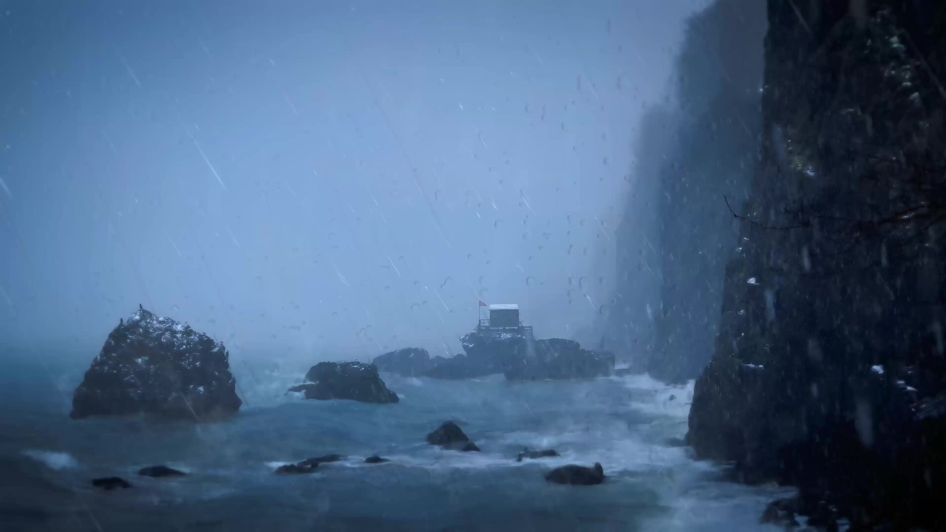 风雨中的守望