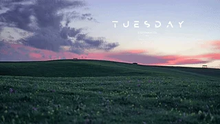 草甸揽清晖｜Meadow Light【4K】