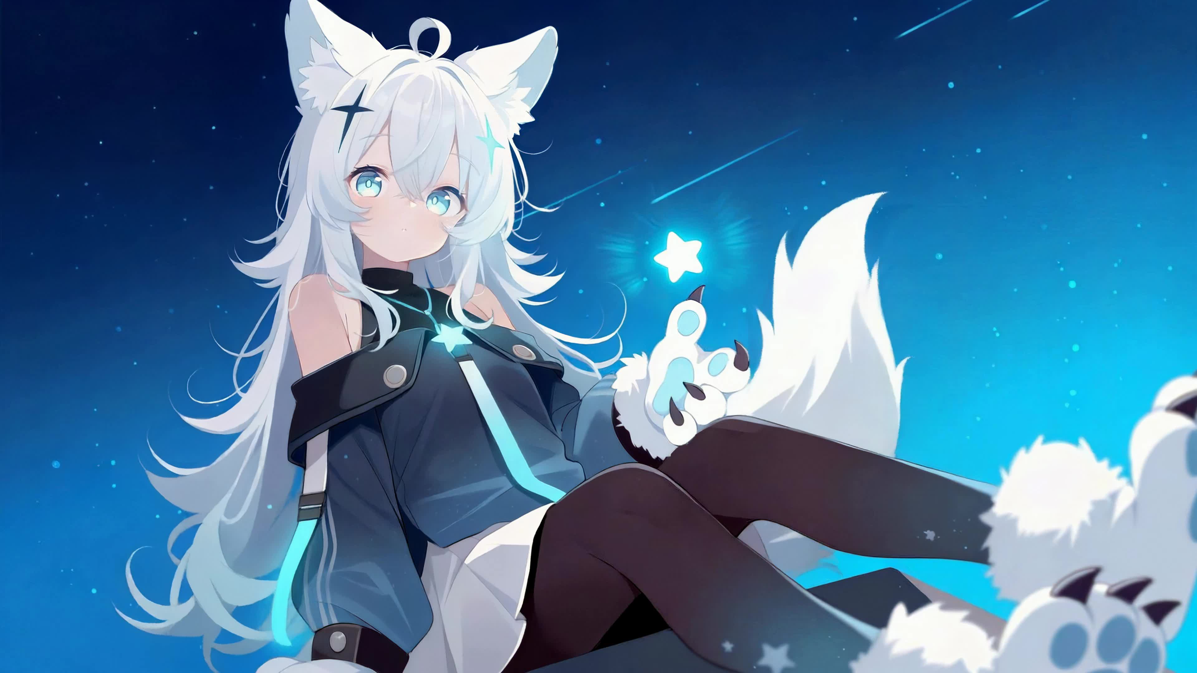 星空下的兽耳少女