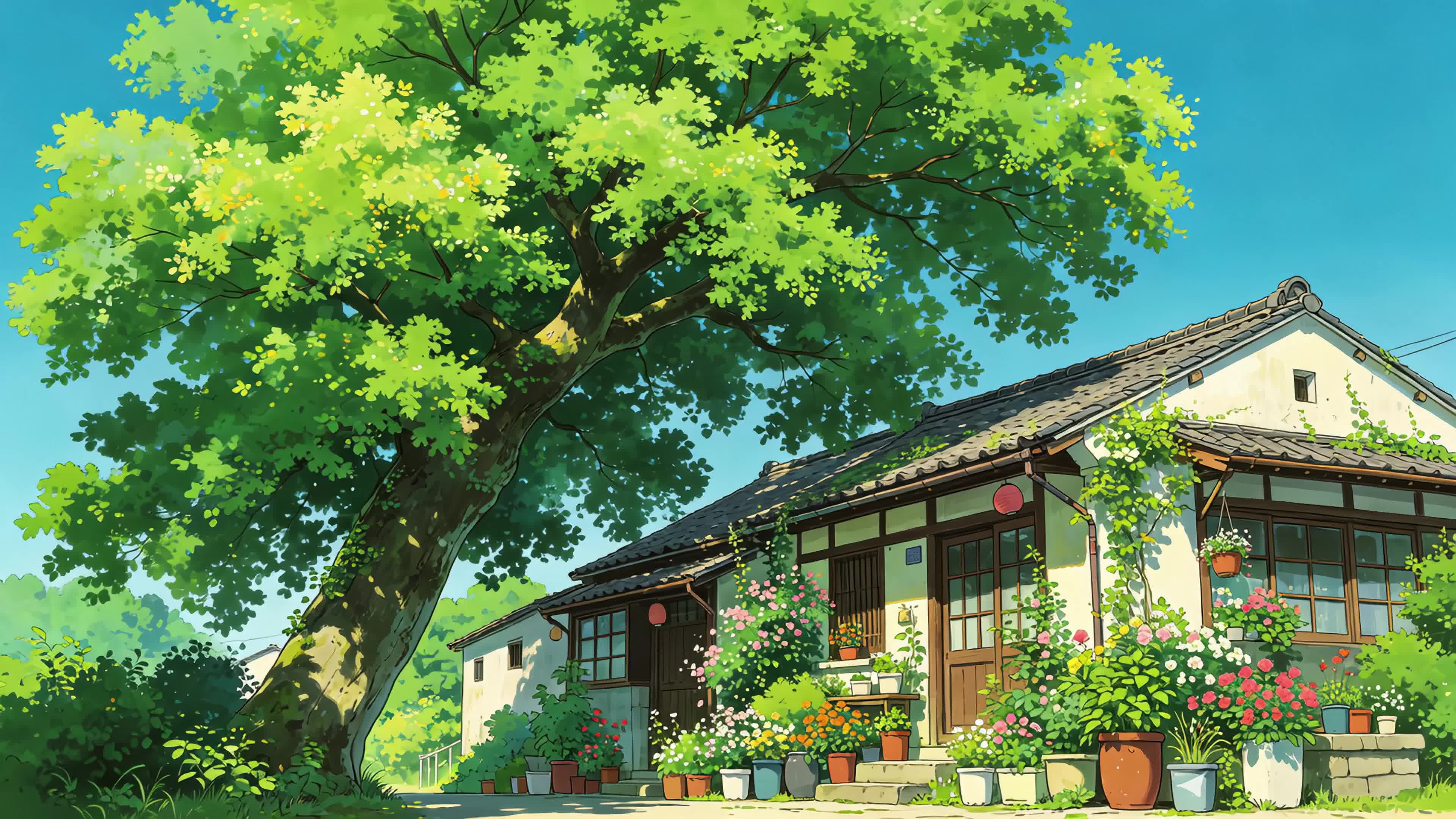 夏日小院