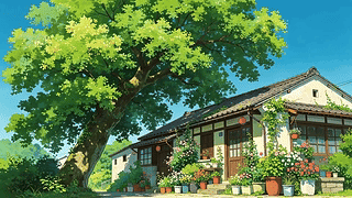 夏日小院