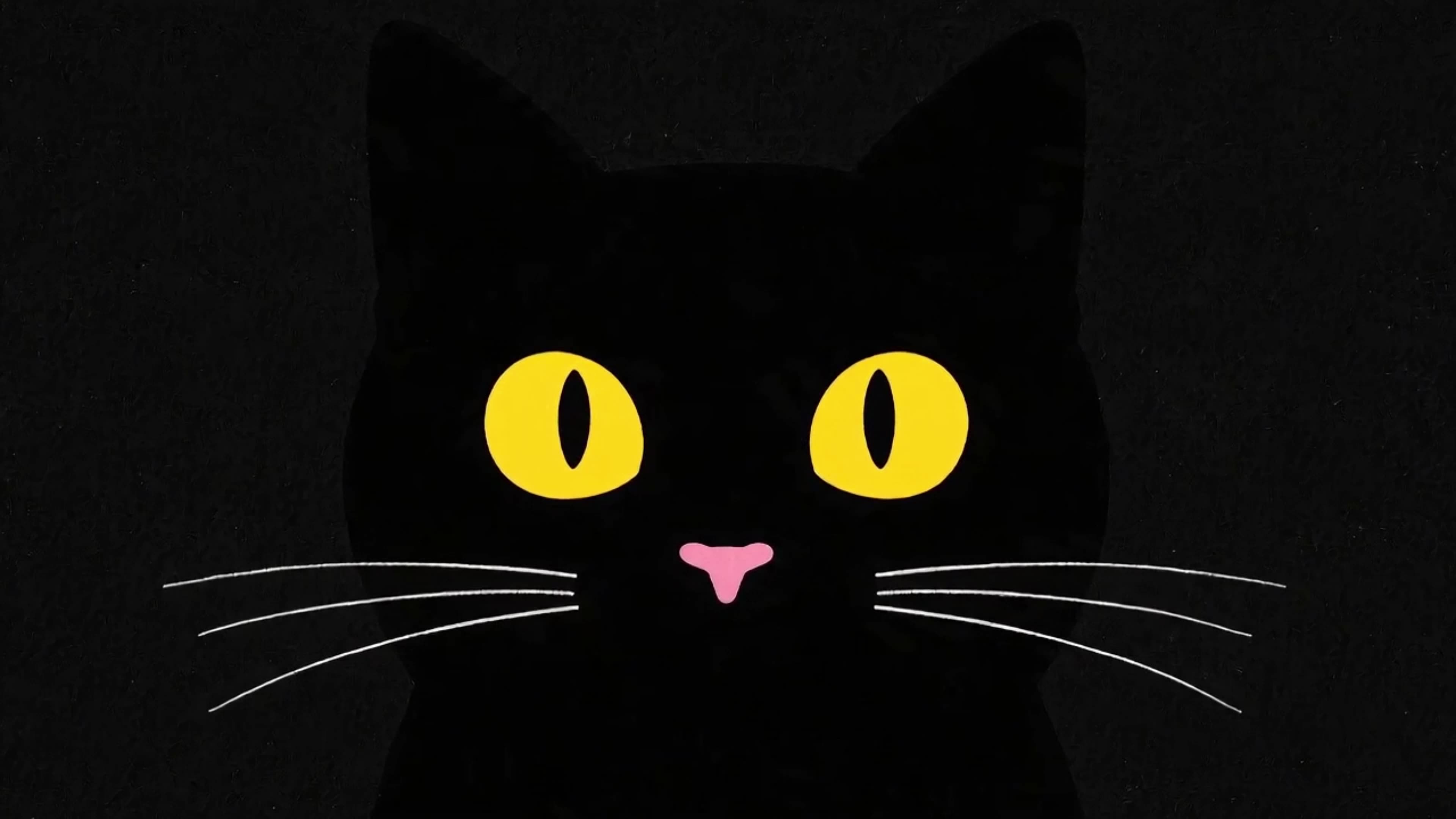 小黑猫