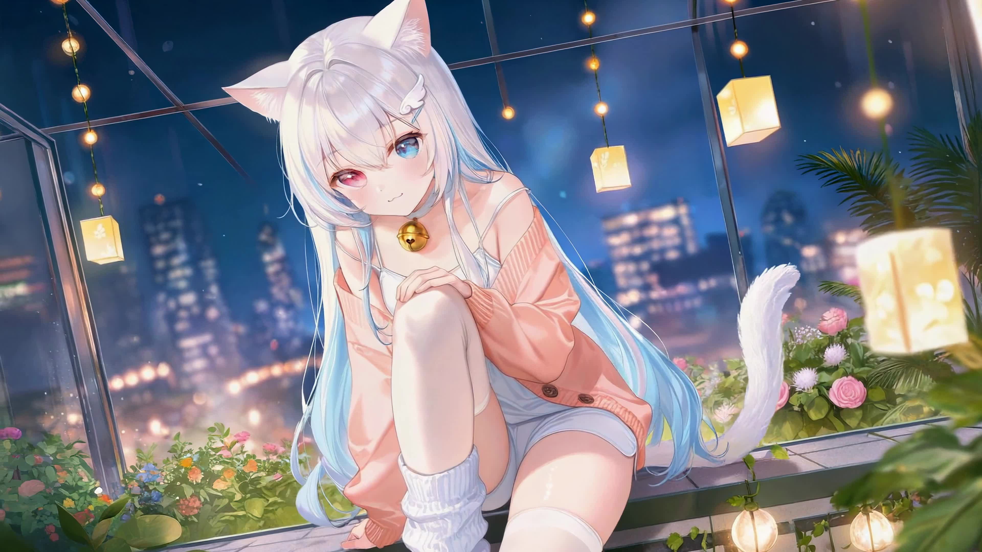 夜色窗边的猫耳少女