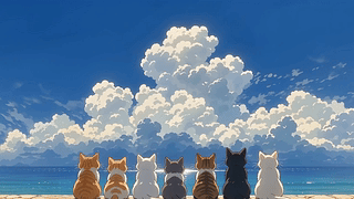 猫咪看海