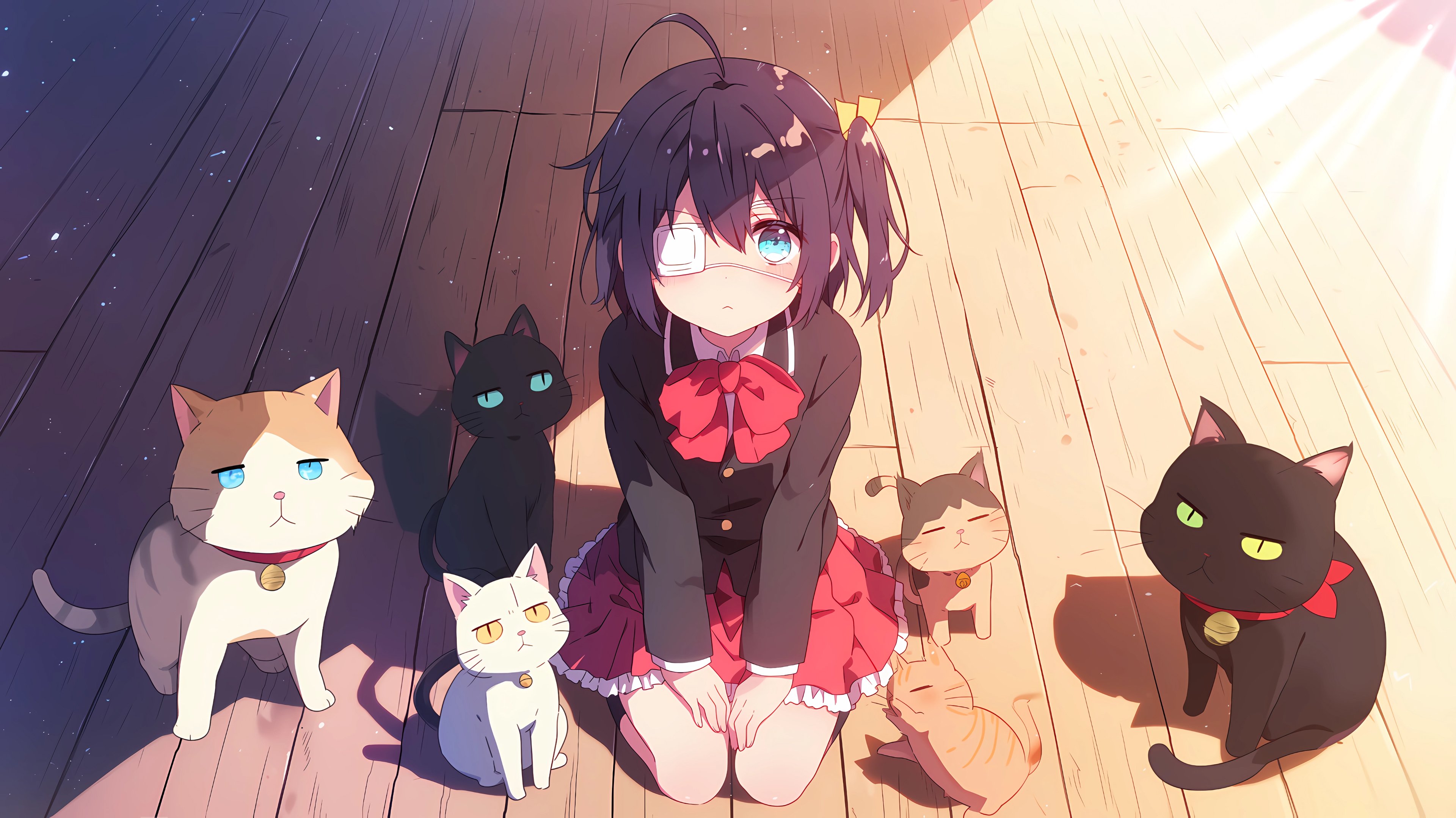 小鸟游六花 小猫 地板 4K壁纸