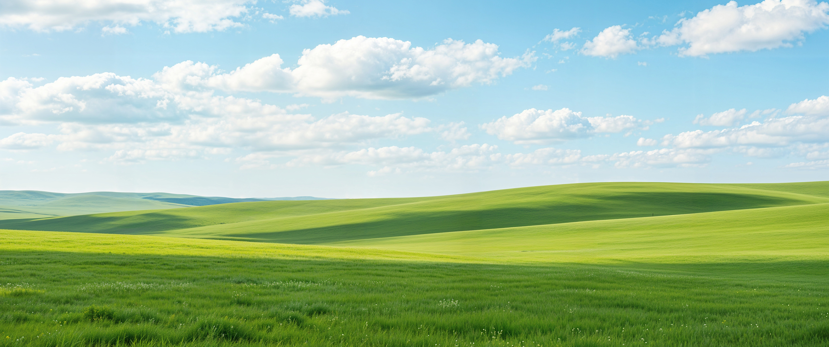 清新草原绿草地蓝天白云风景带鱼屏壁纸3440x1440