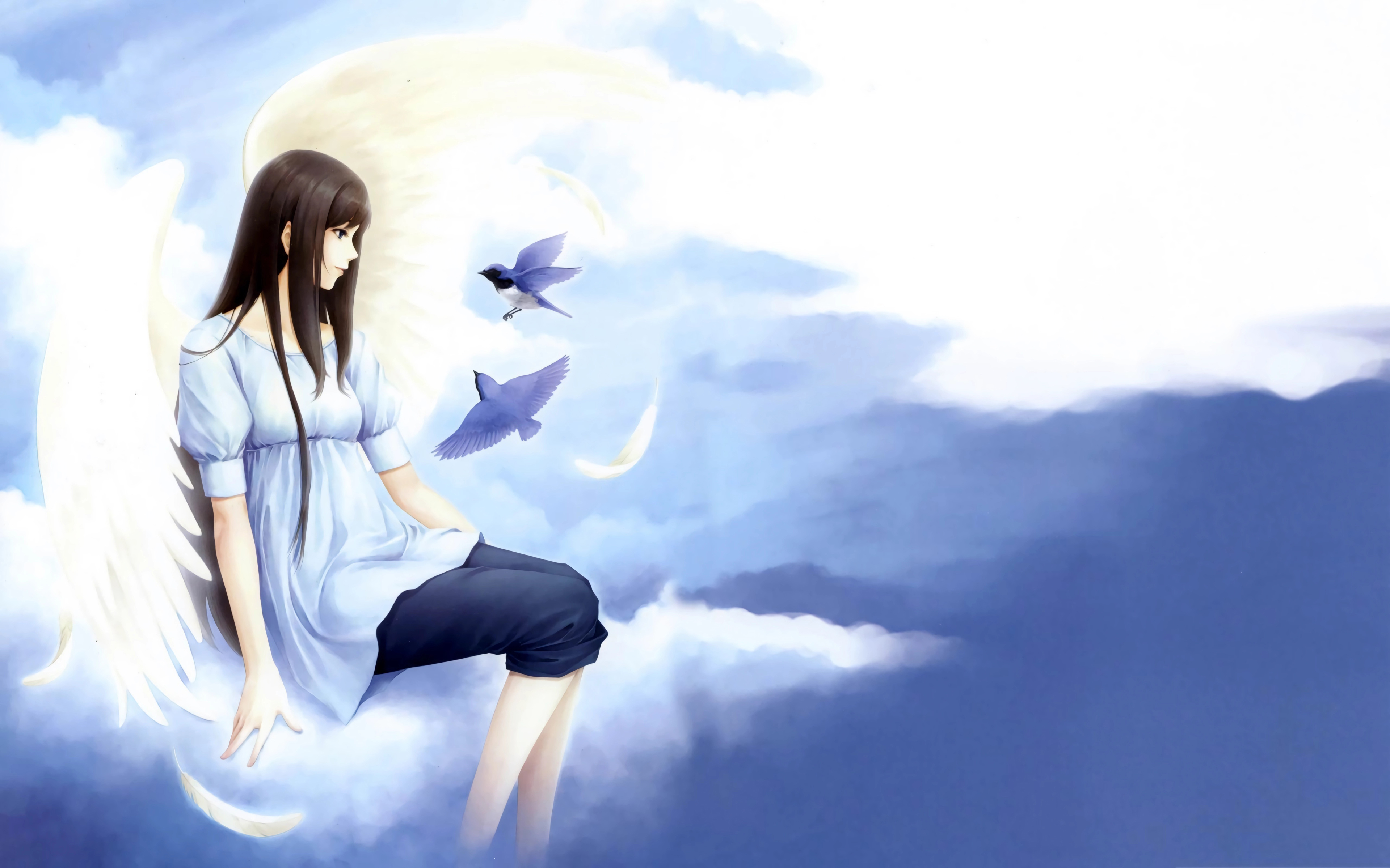 空中 女孩少女翅膀 坐在云上 小鸟 4K经典动漫壁纸3840x2400