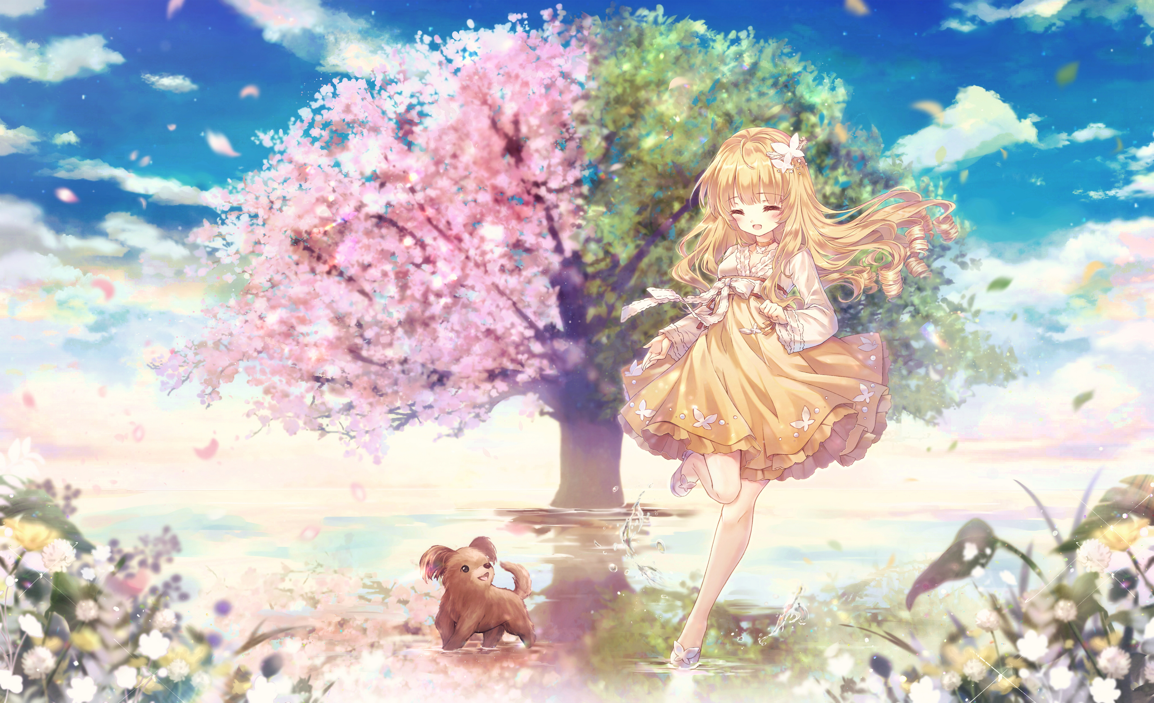 天空 花瓣 粉色绿色的树