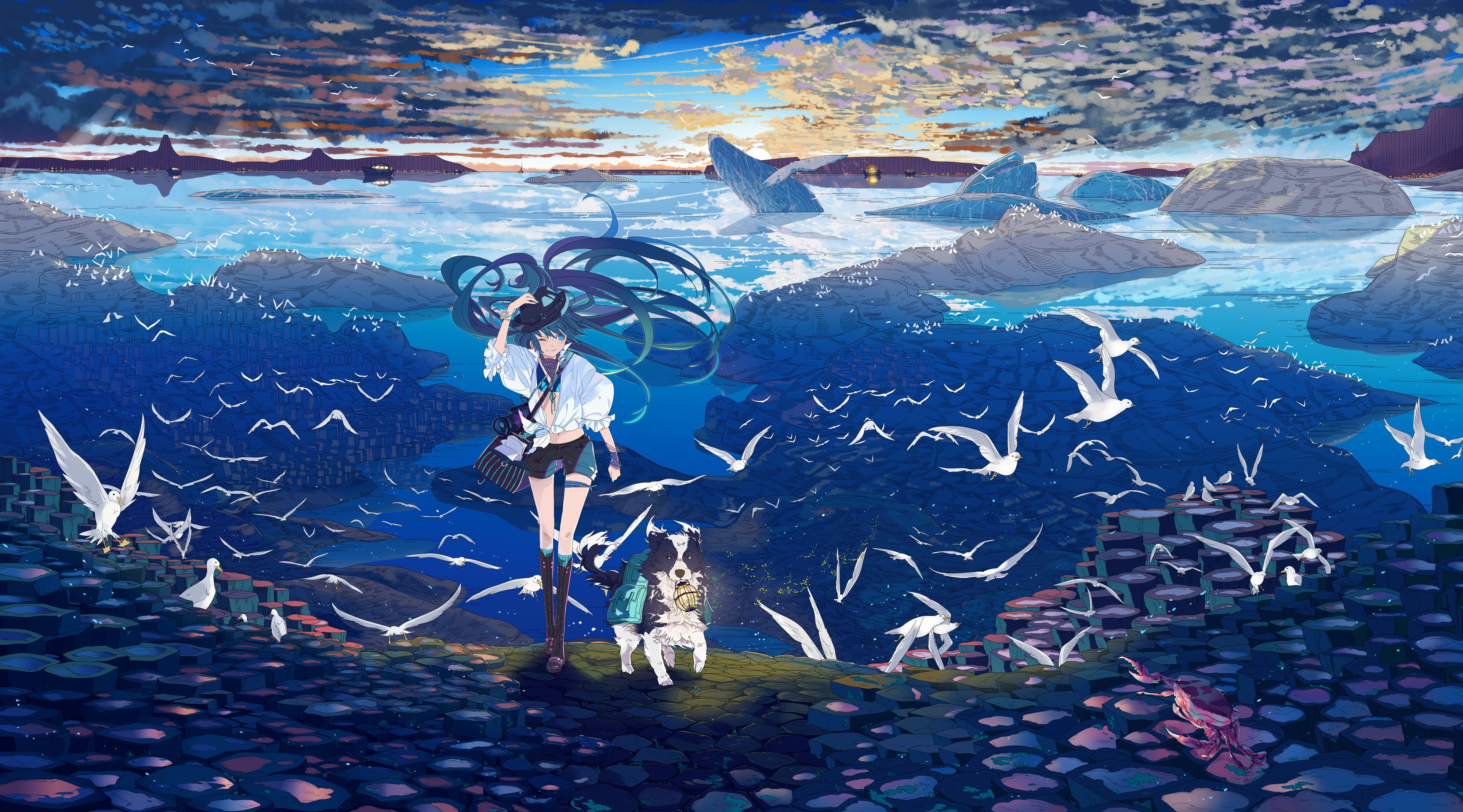 日落 天空 云 鸟 海 VOC