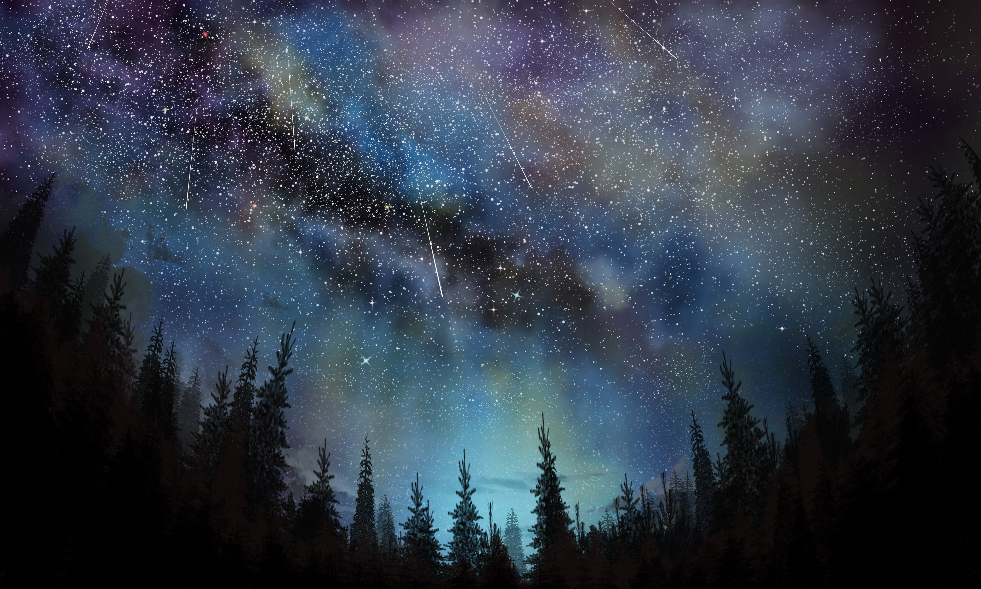星空 星夜 流星 树林 星