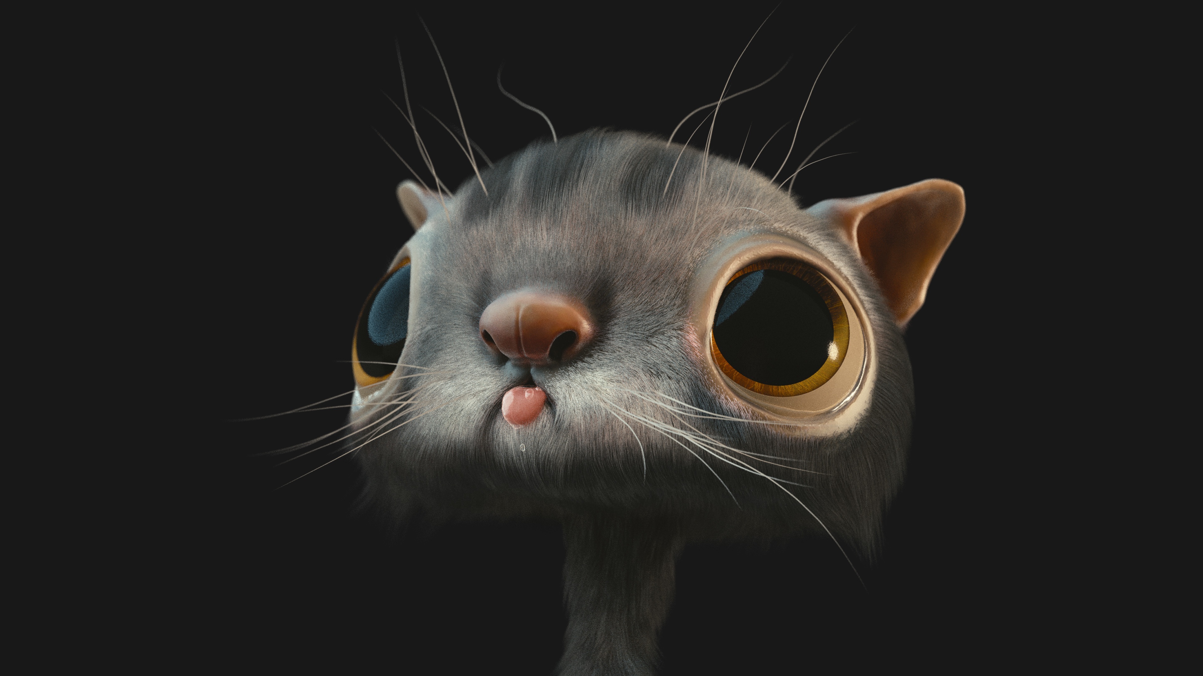 一只可爱的猫图片背景素