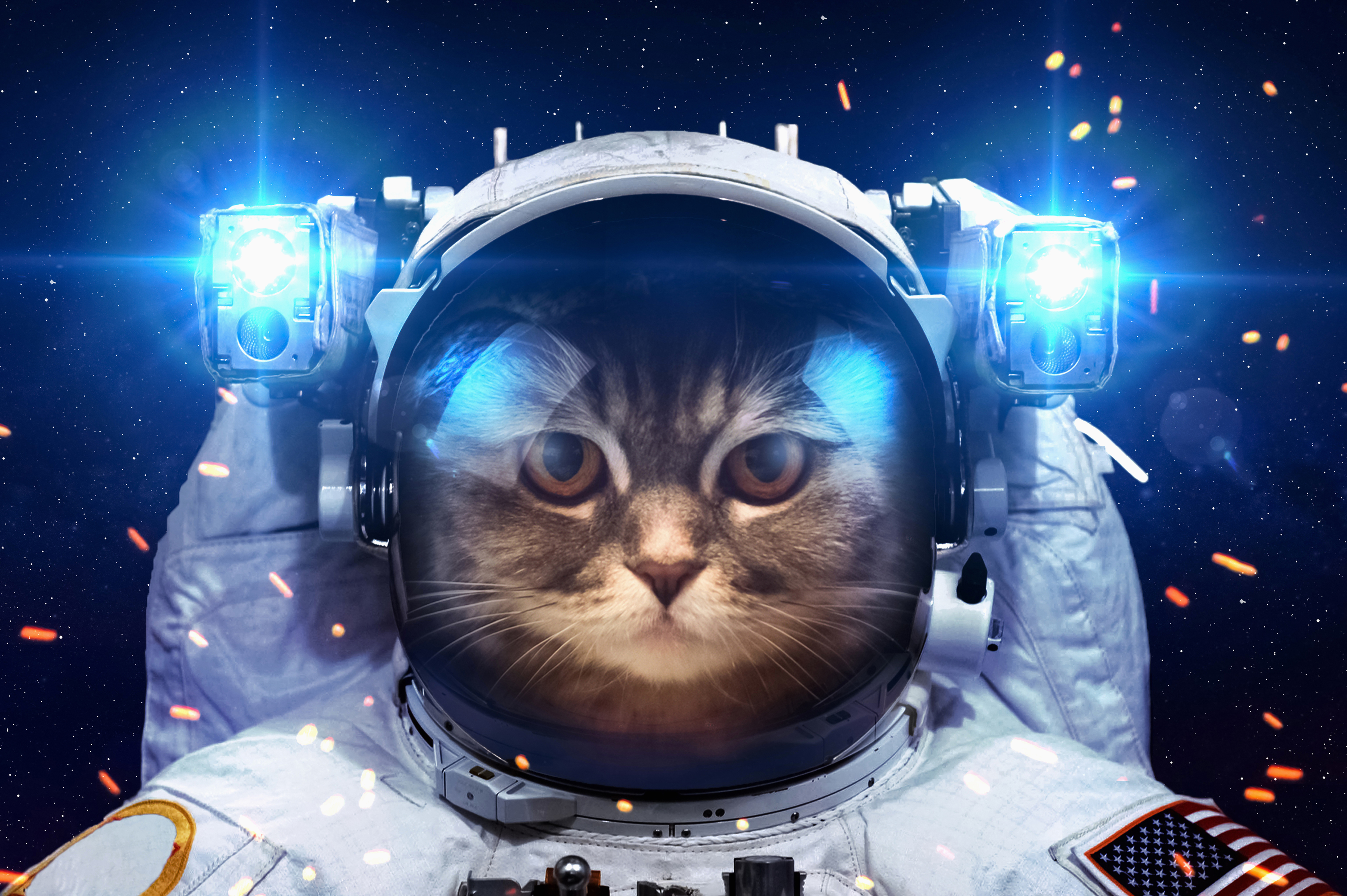 猫 太空 宇航员 5K壁纸_8250