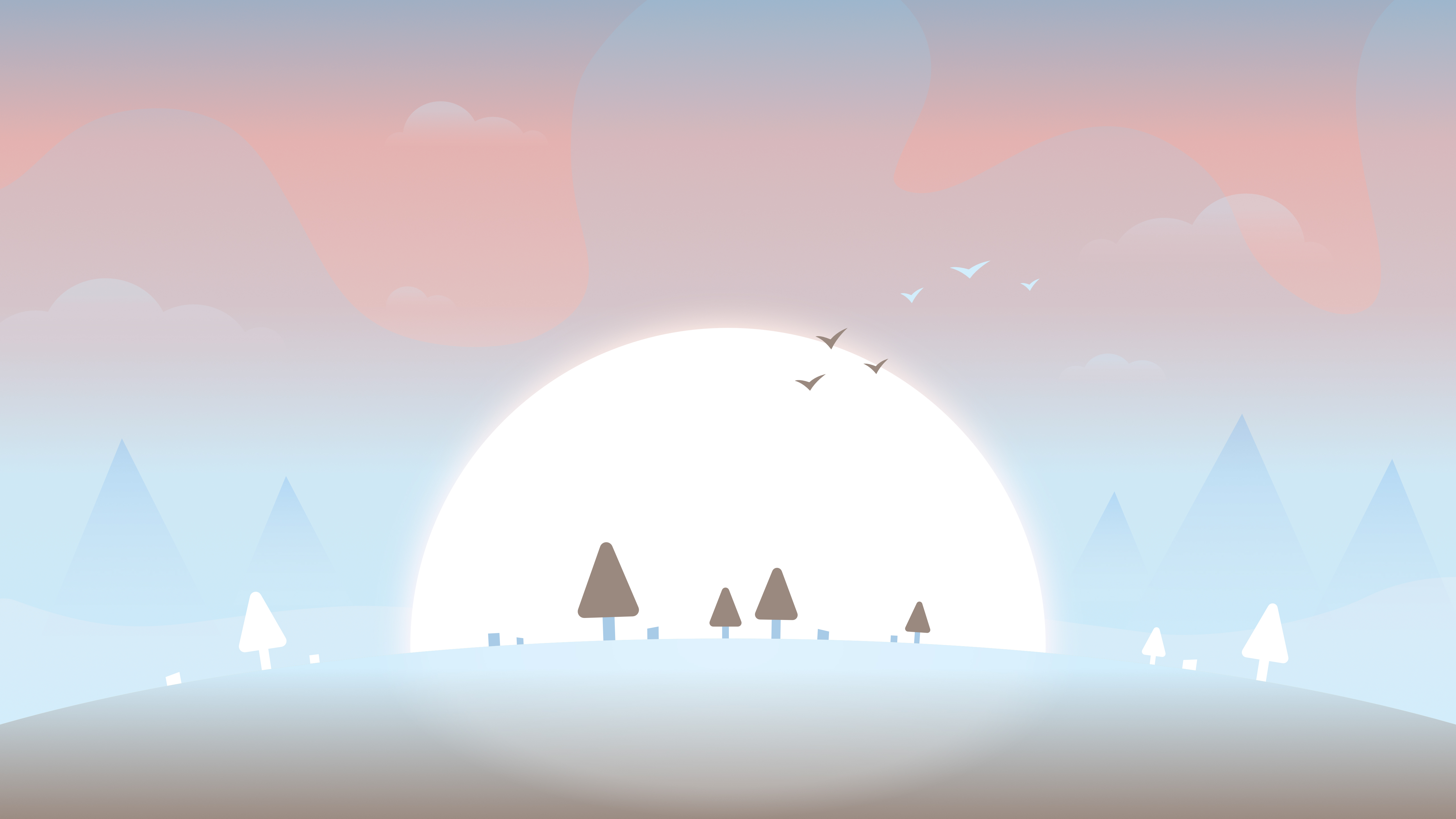 天空 太阳 树 鸟儿 简约极简主义5k壁纸5120x2880