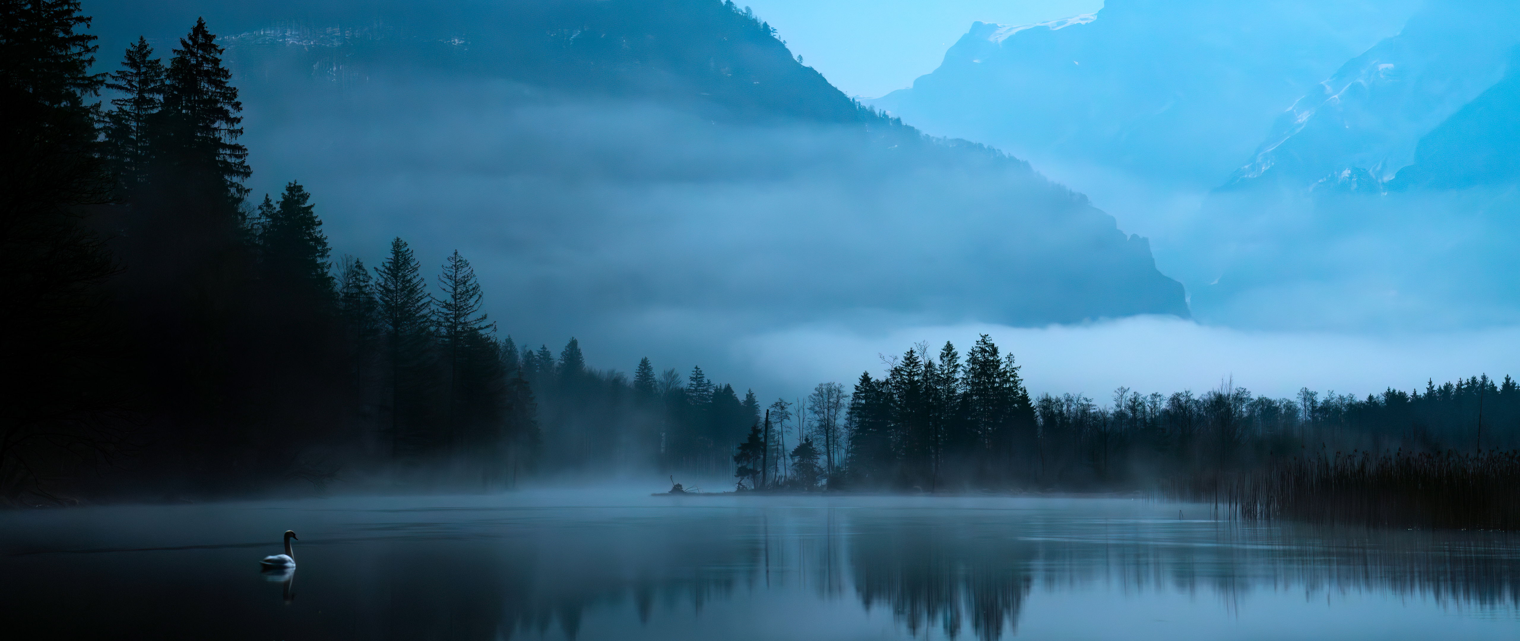 奥地利风景 山脉 湖泊树