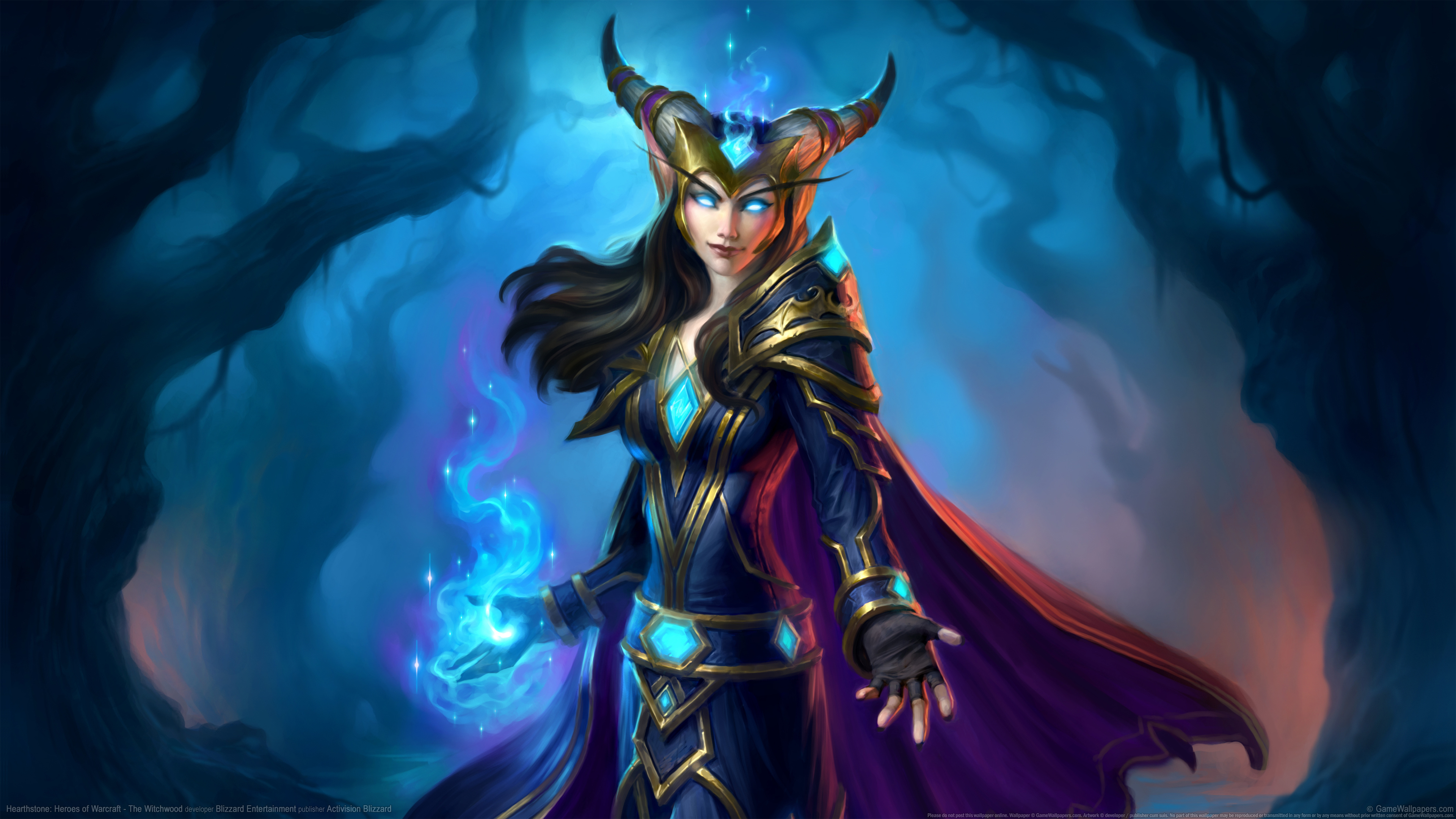 Hearthstone_ Heroes of_19917