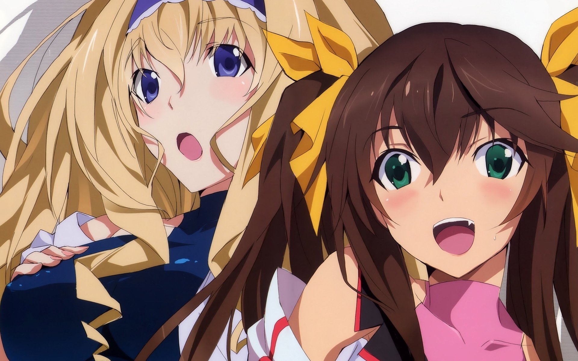 Infinite Stratos 无限_11813