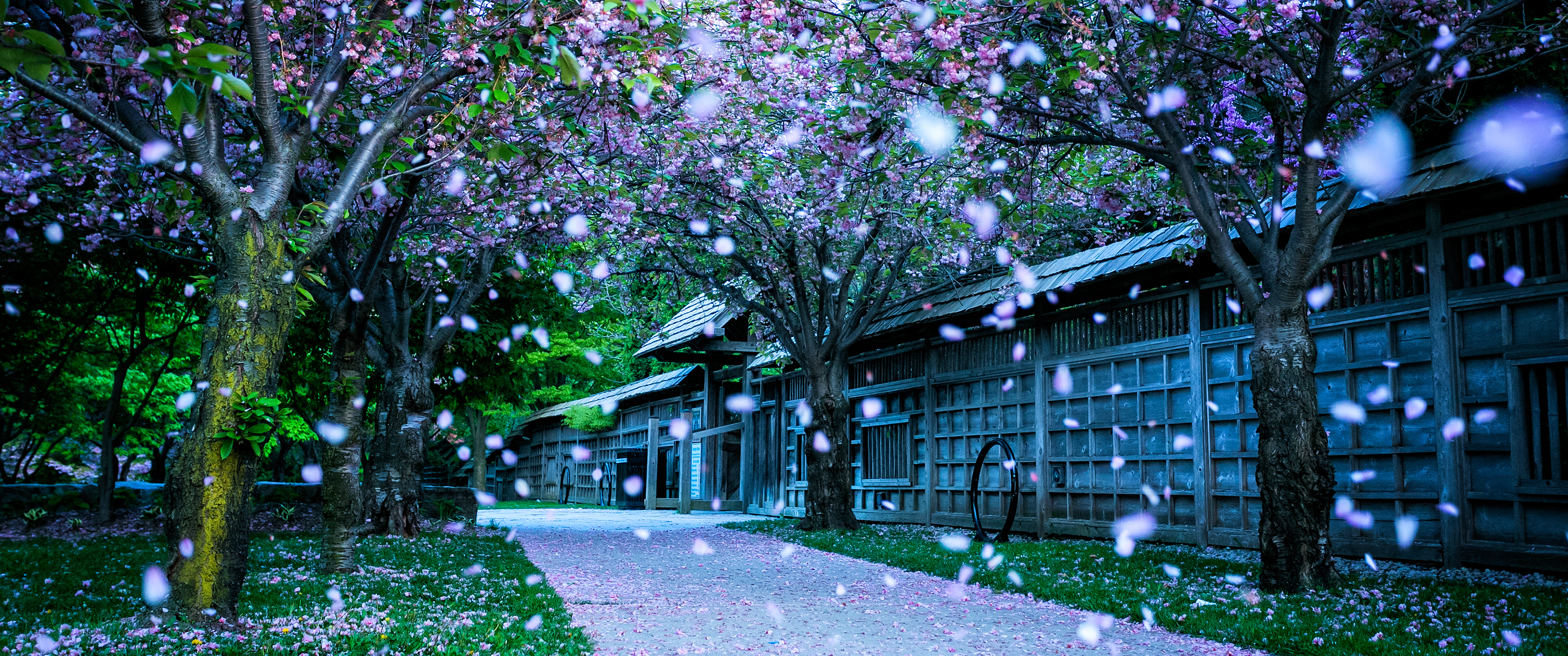 Kariya Park 公园风景34_19309