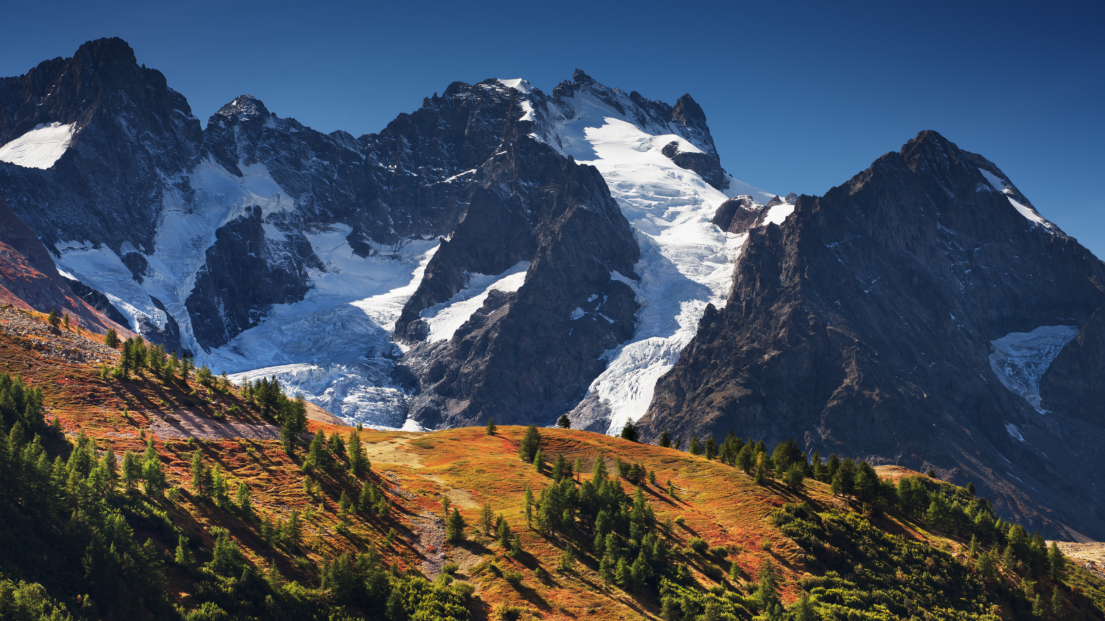 La Meije 高山,雪景,树_15444