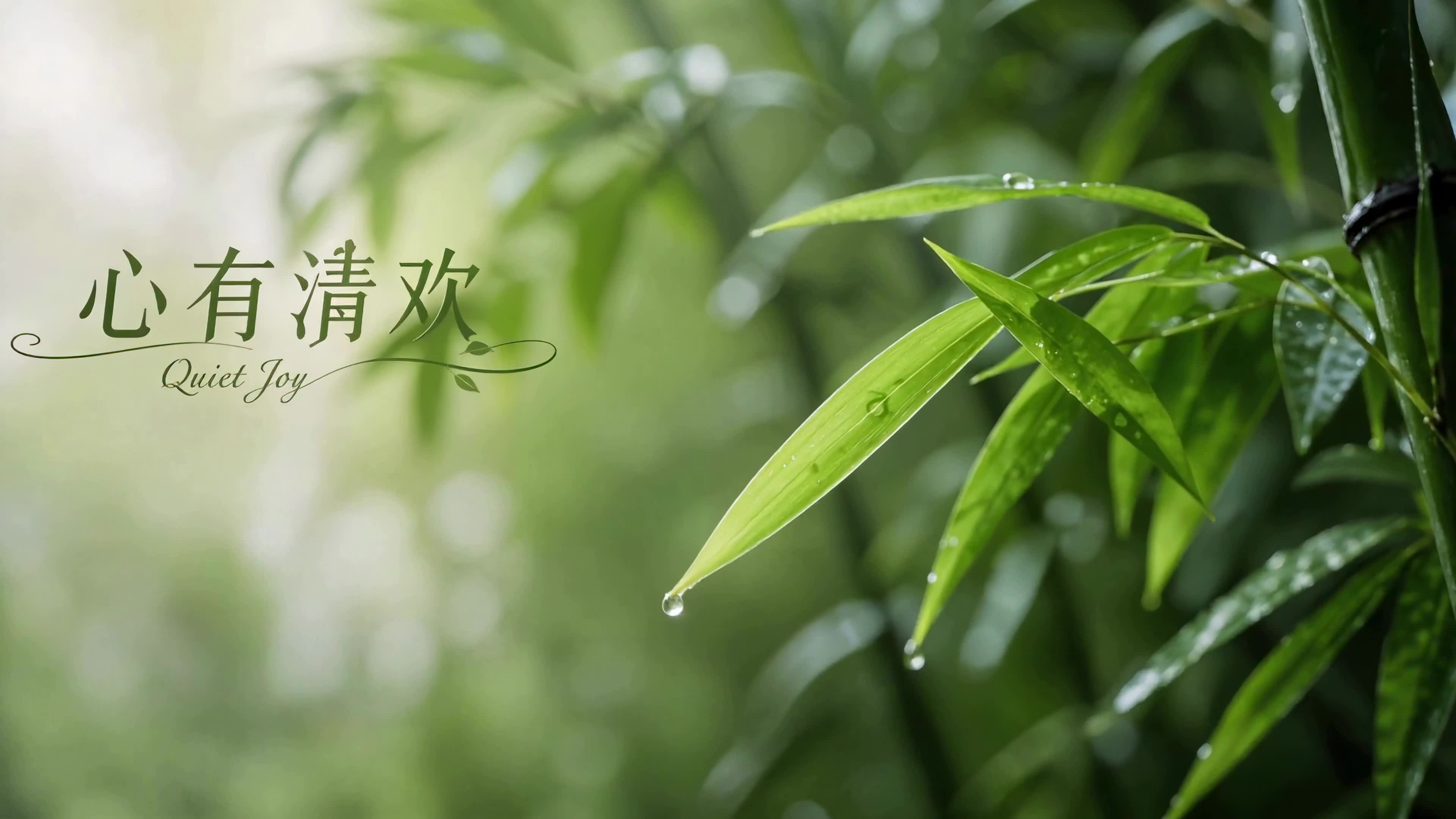 心有清欢
