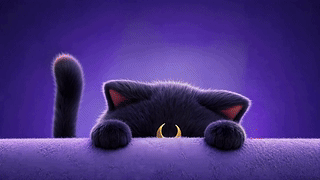 紫夜月牙小黑猫