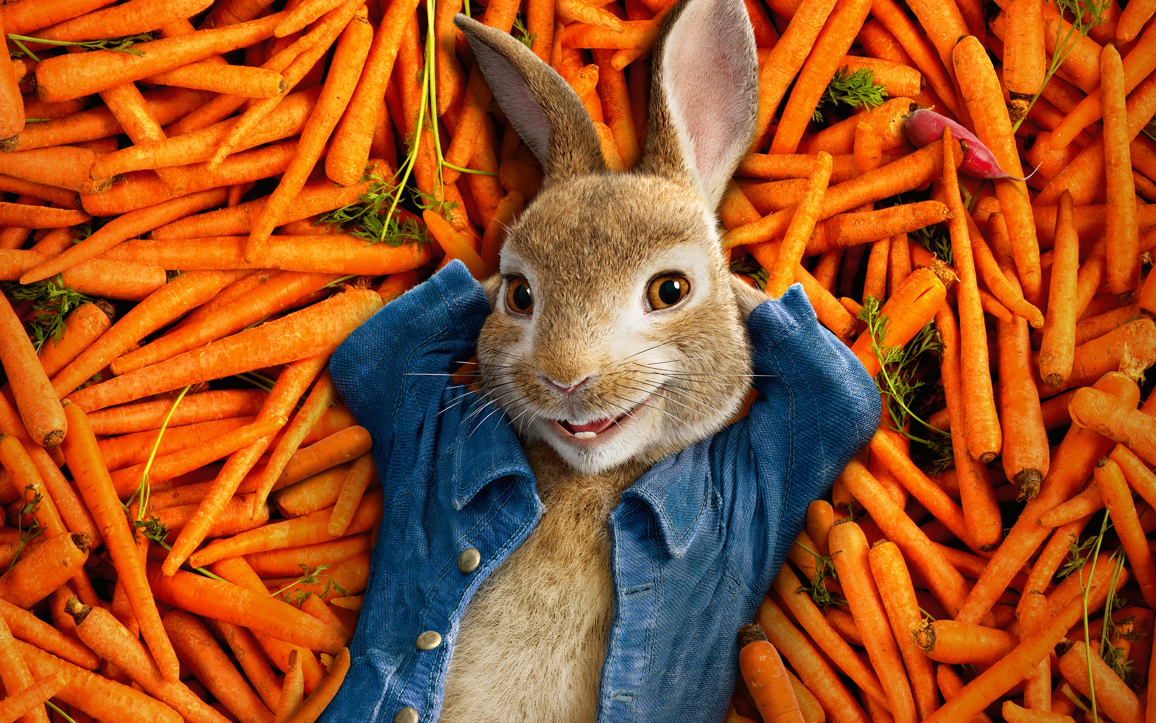 《彼得兔Peter Rabbit_17397