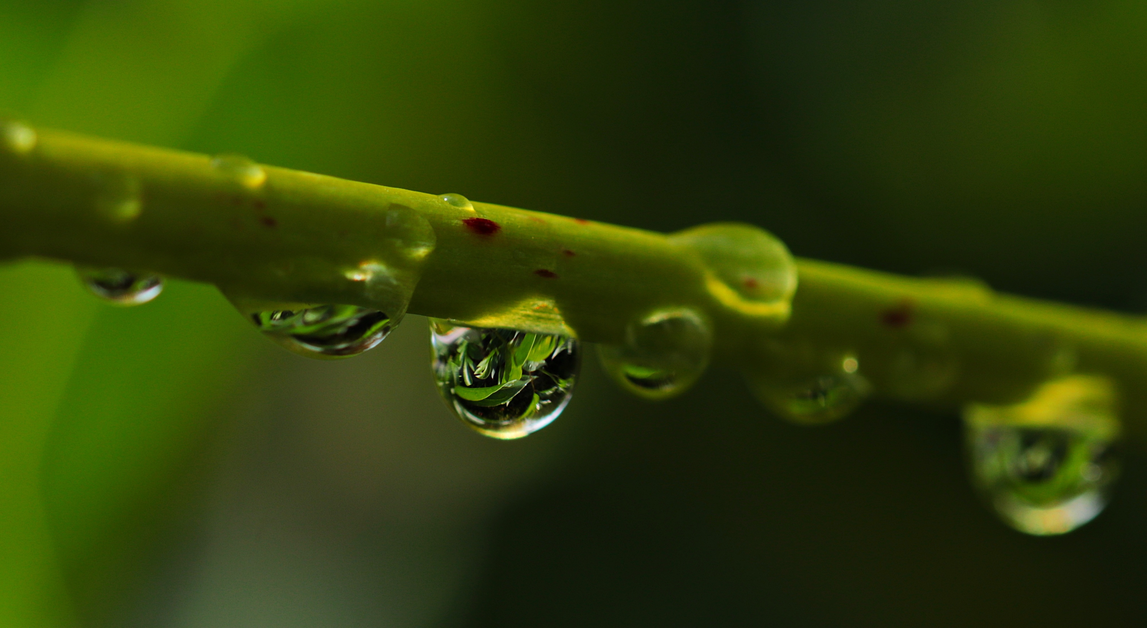 一滴水 雨滴 心情 水滴_11824