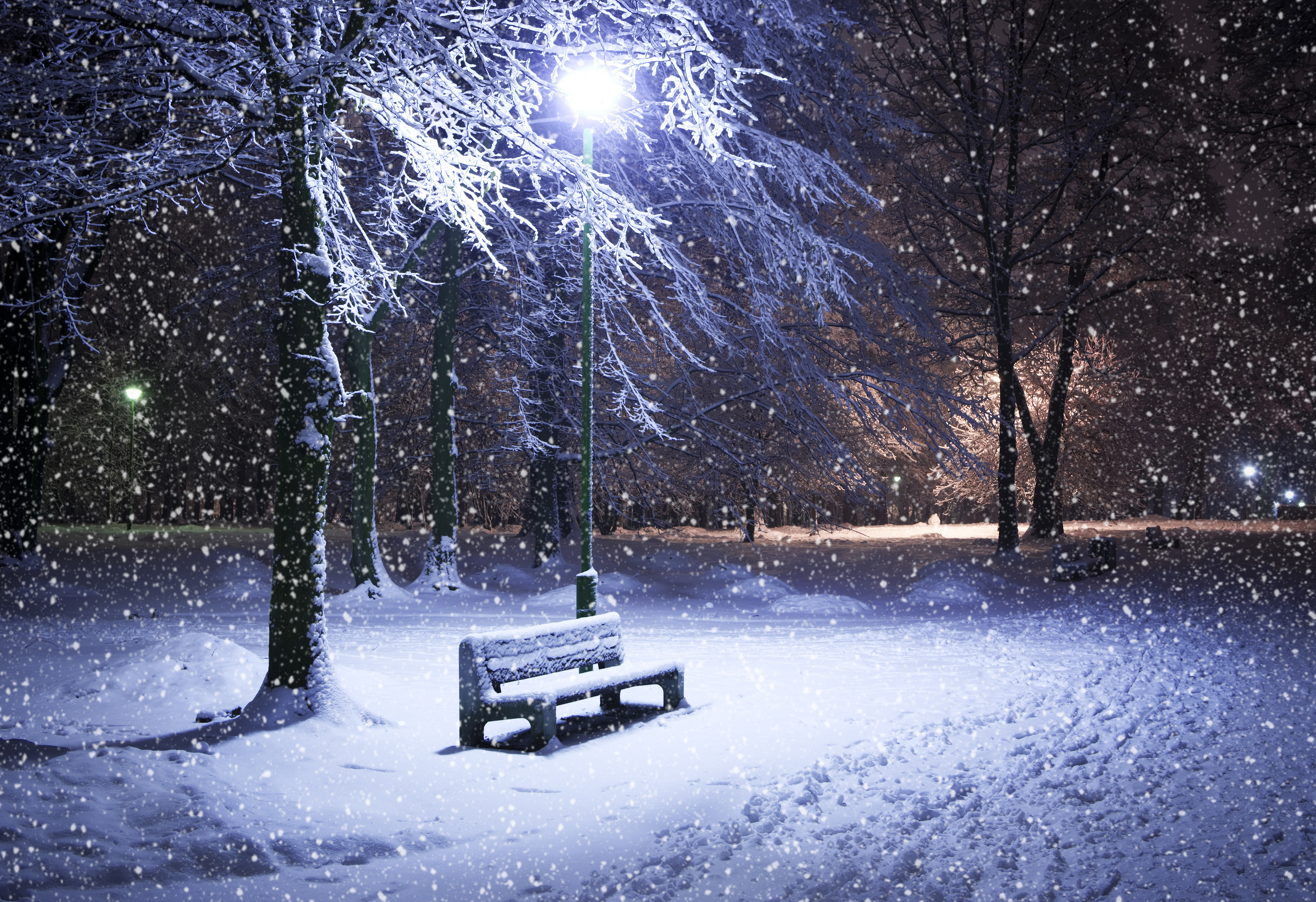 公园 晚上 雪 灯 冬季_10832