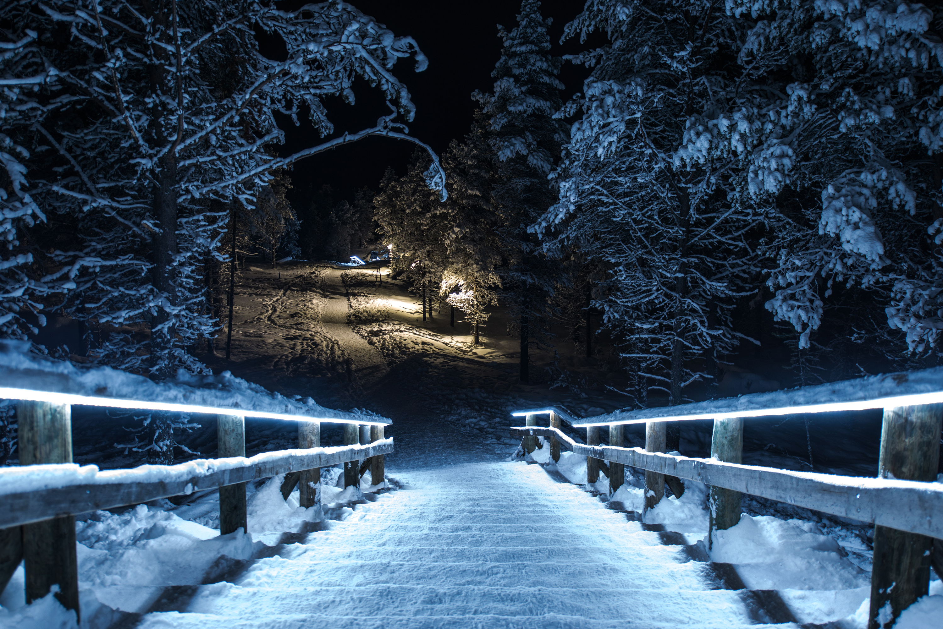 冬天,雪,夜晚,树林,栅栏_3711