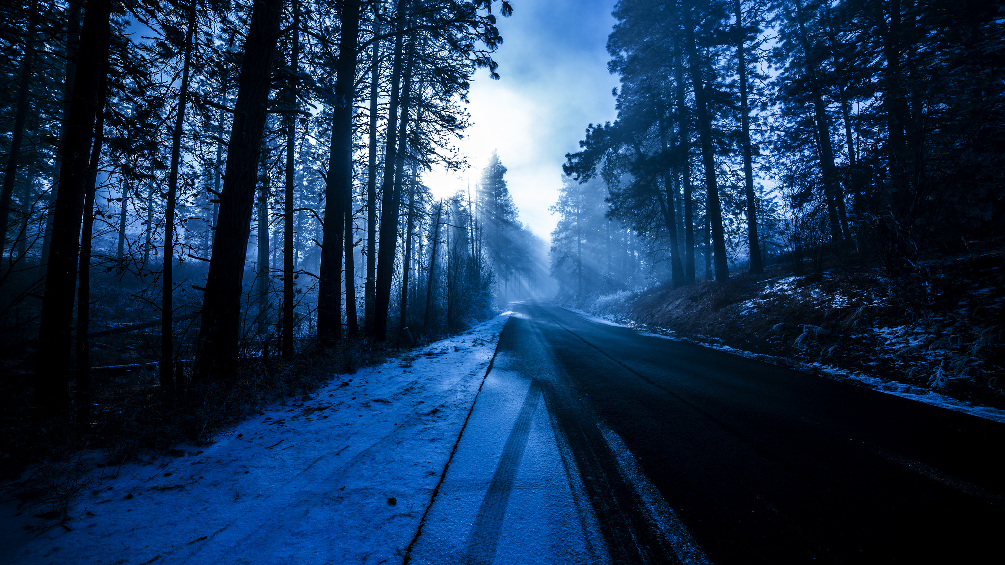 冬天的雪,树木,道路,蓝_3530