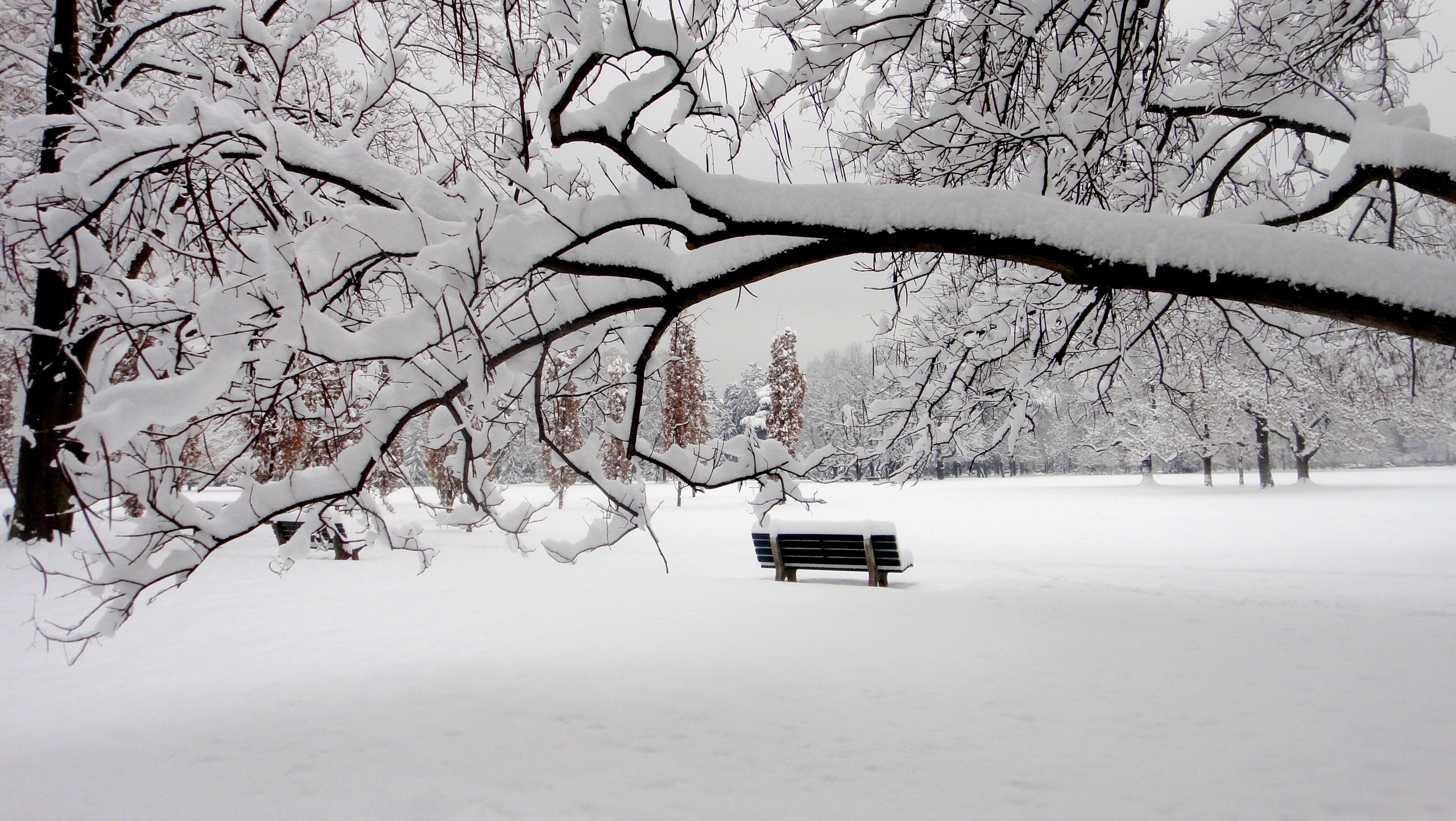 冬天雪公园椅子风景图片_4180