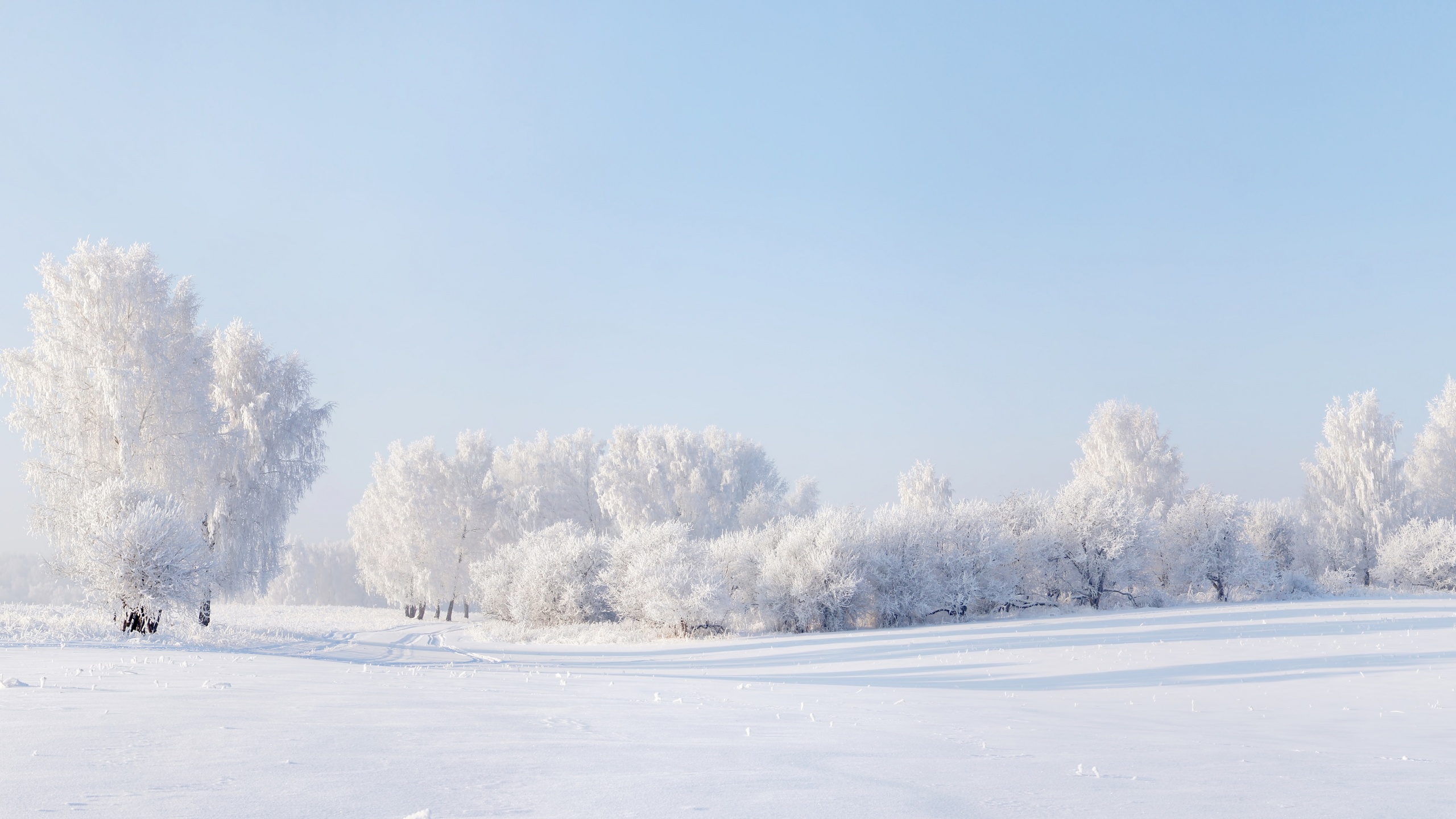冬天雪地,树木,天空风景_2396