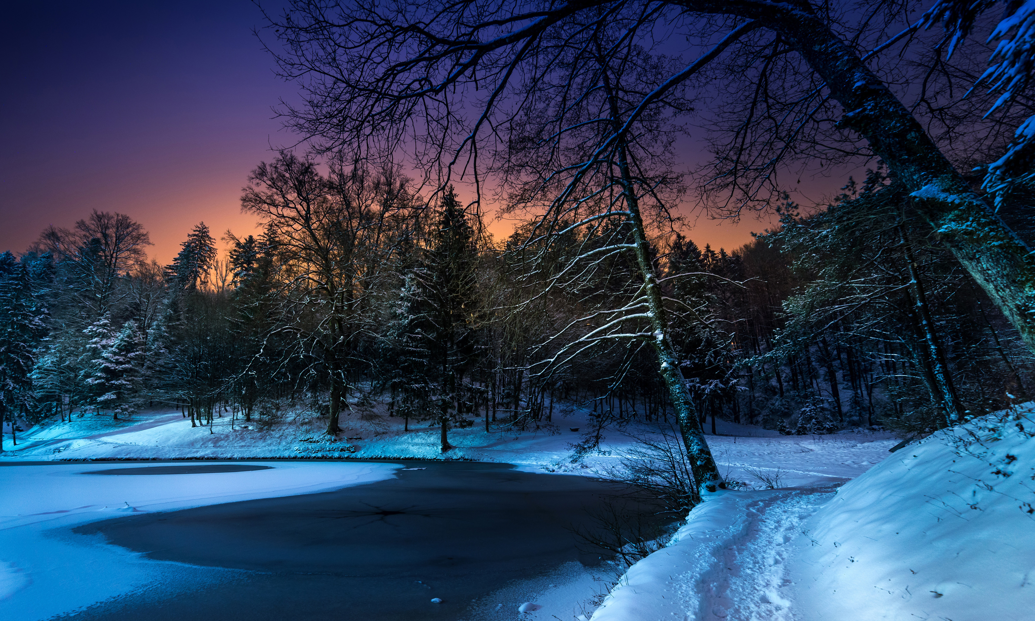 冬季,树林,雪,夜晚,风景_4813