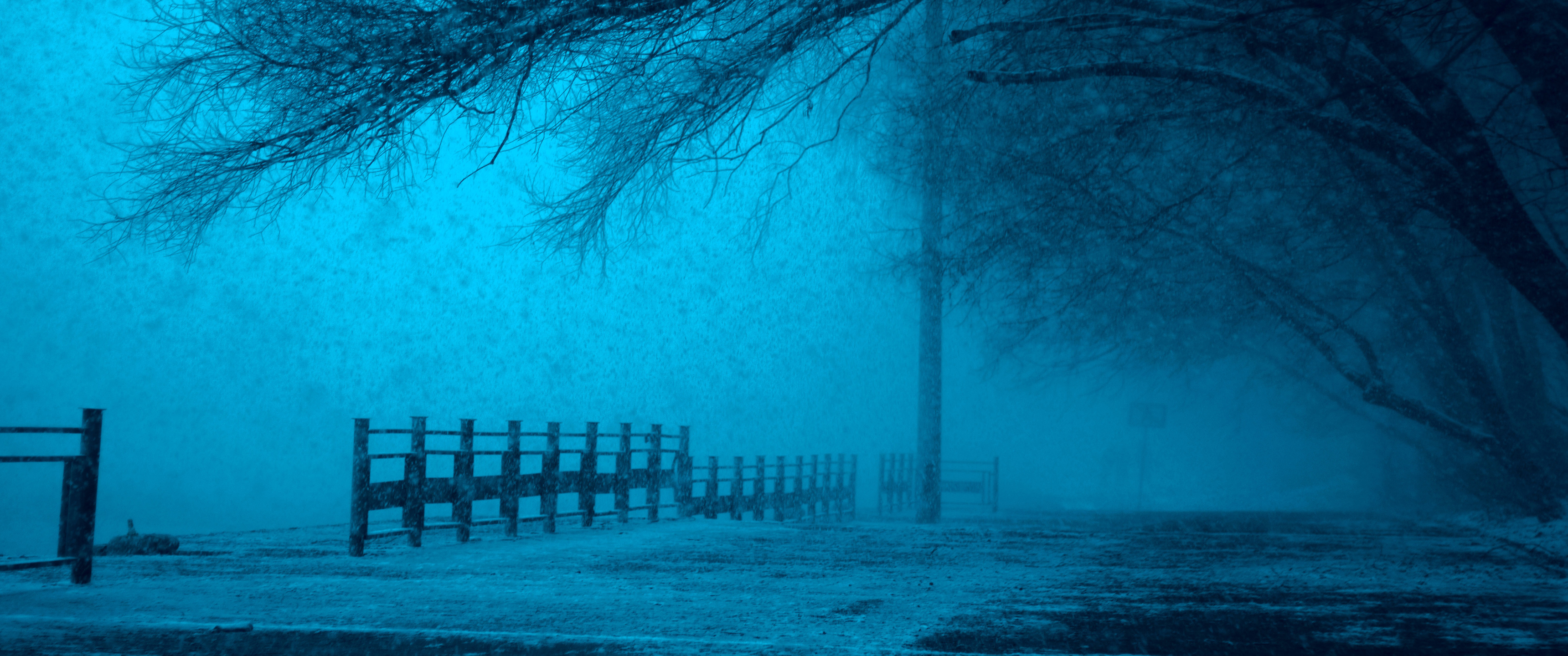 冬季,雪,树,栅栏,莫斯科_16905