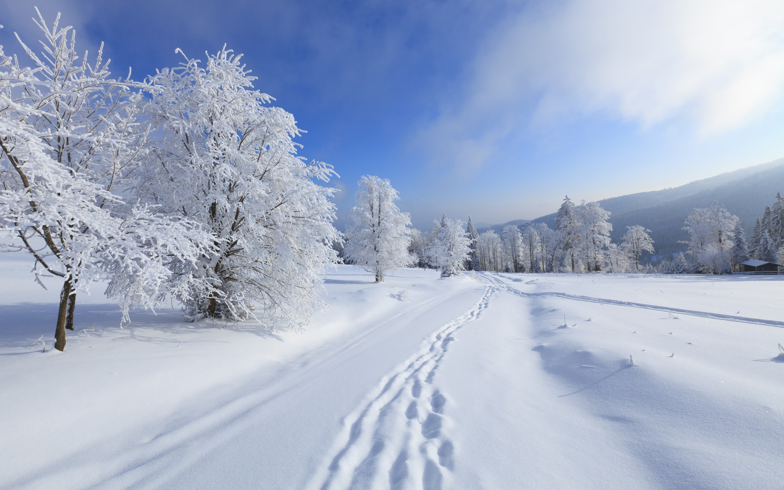 冬季雪山,树,天空,风景_3983